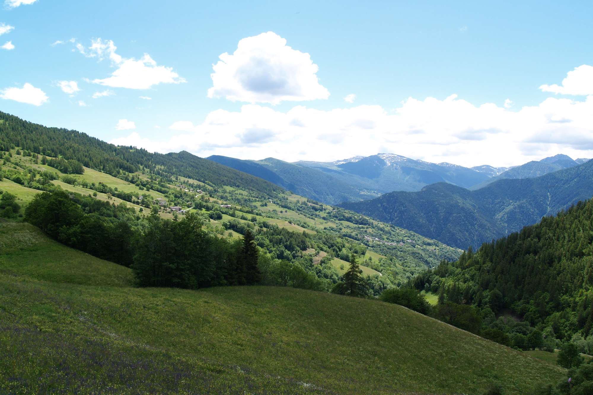 (38) Sentiero della Canapa (Hanf-Weg, bei Prazzo) (38) Sentiero della Canapa (Hanf-Weg, bei Prazzo)