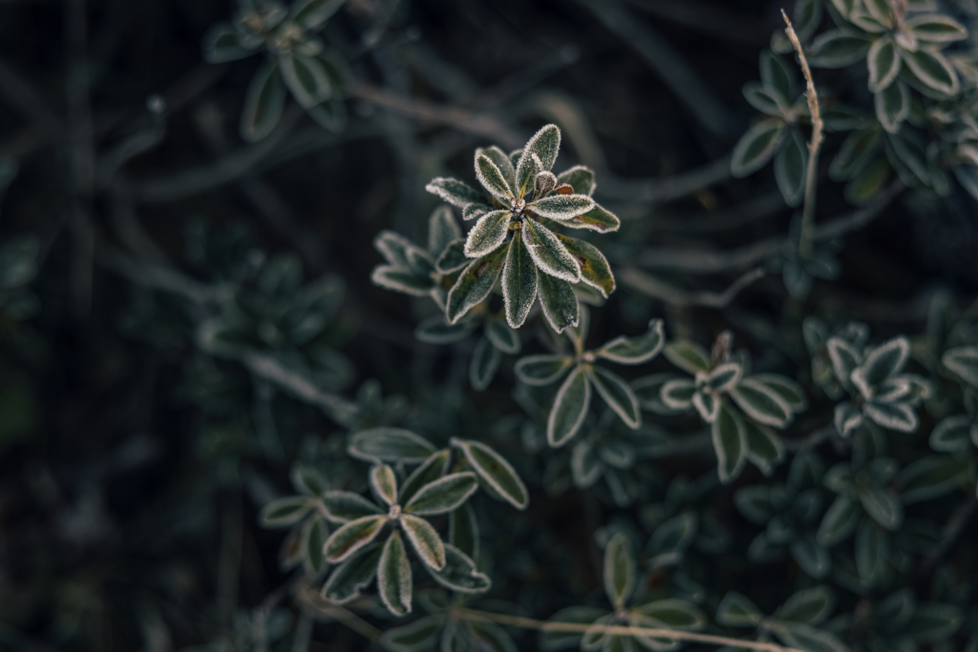 A sustainable vacation