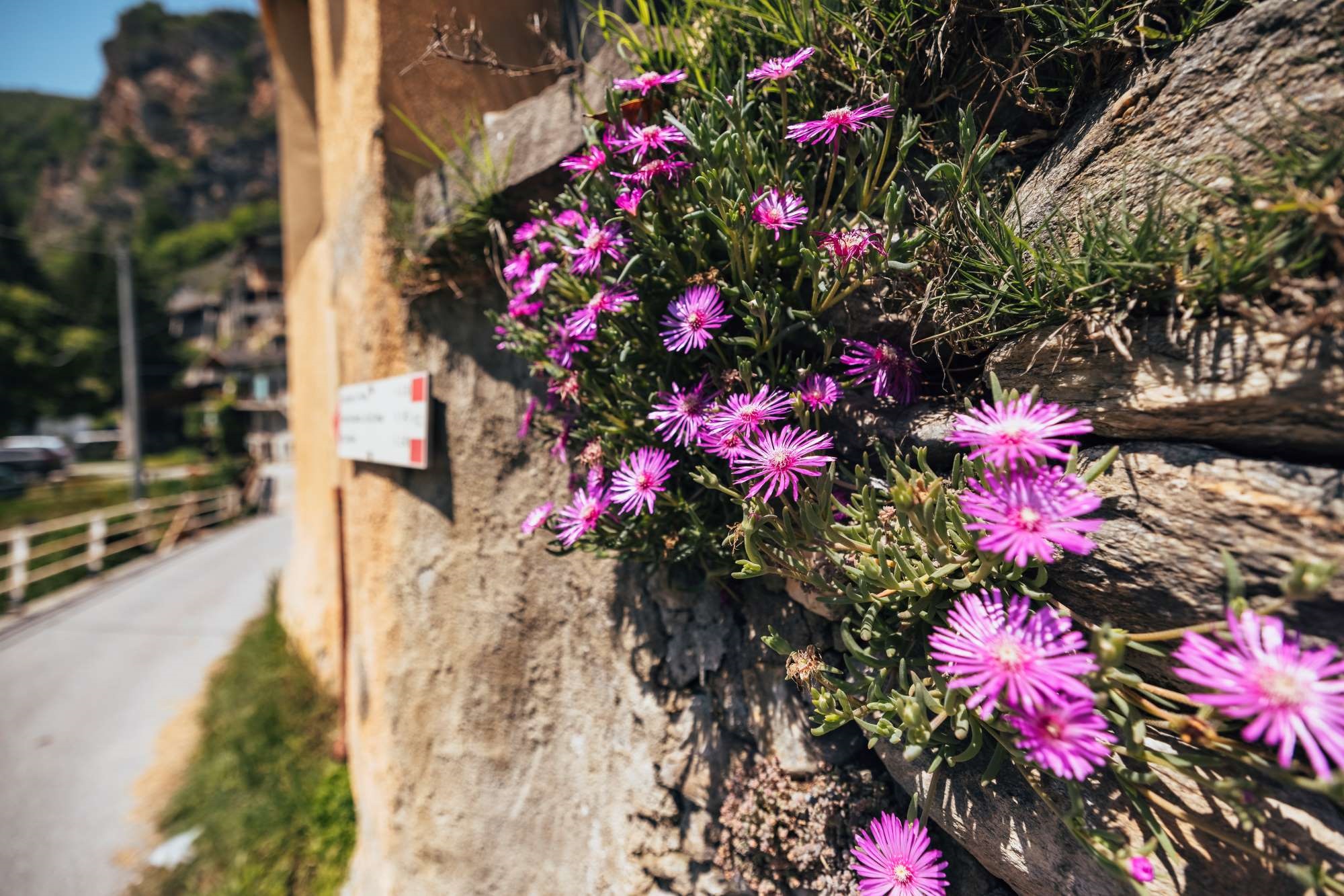 Casa vacanze California Casa vacanze California