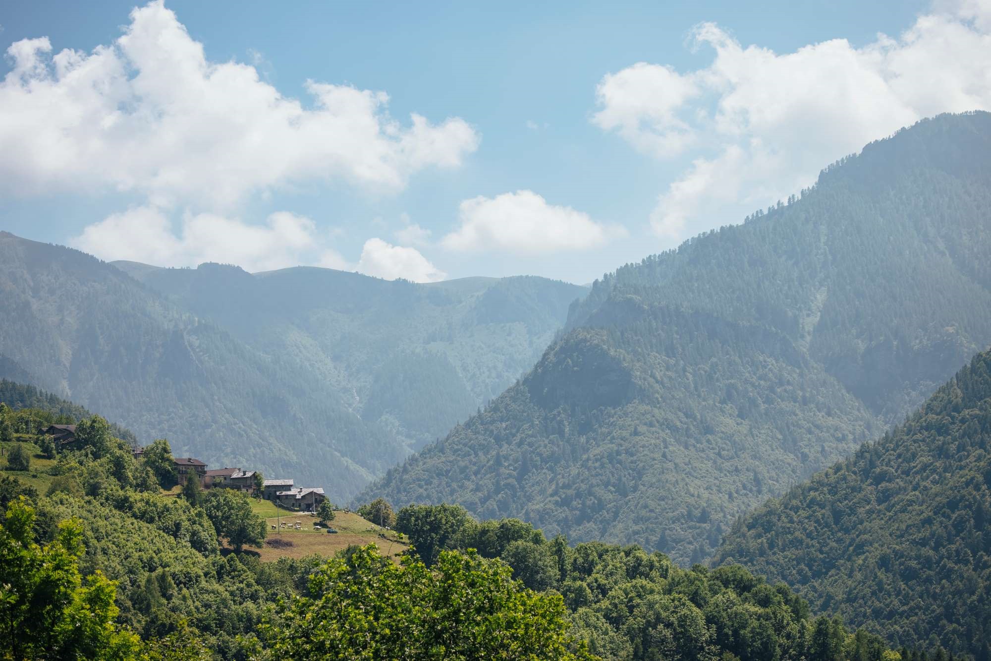 Il Camino e il Cuore Il Camino e il Cuore