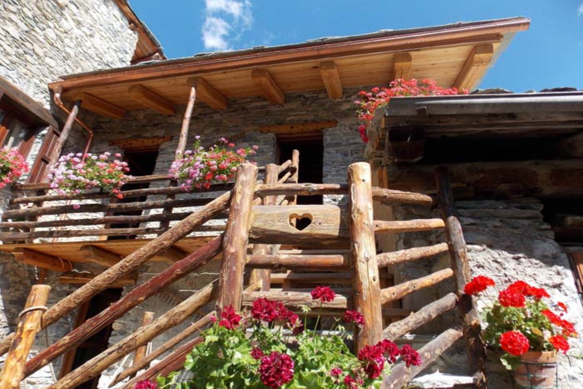 La Provenzale / Maria La Provenzale / Maria