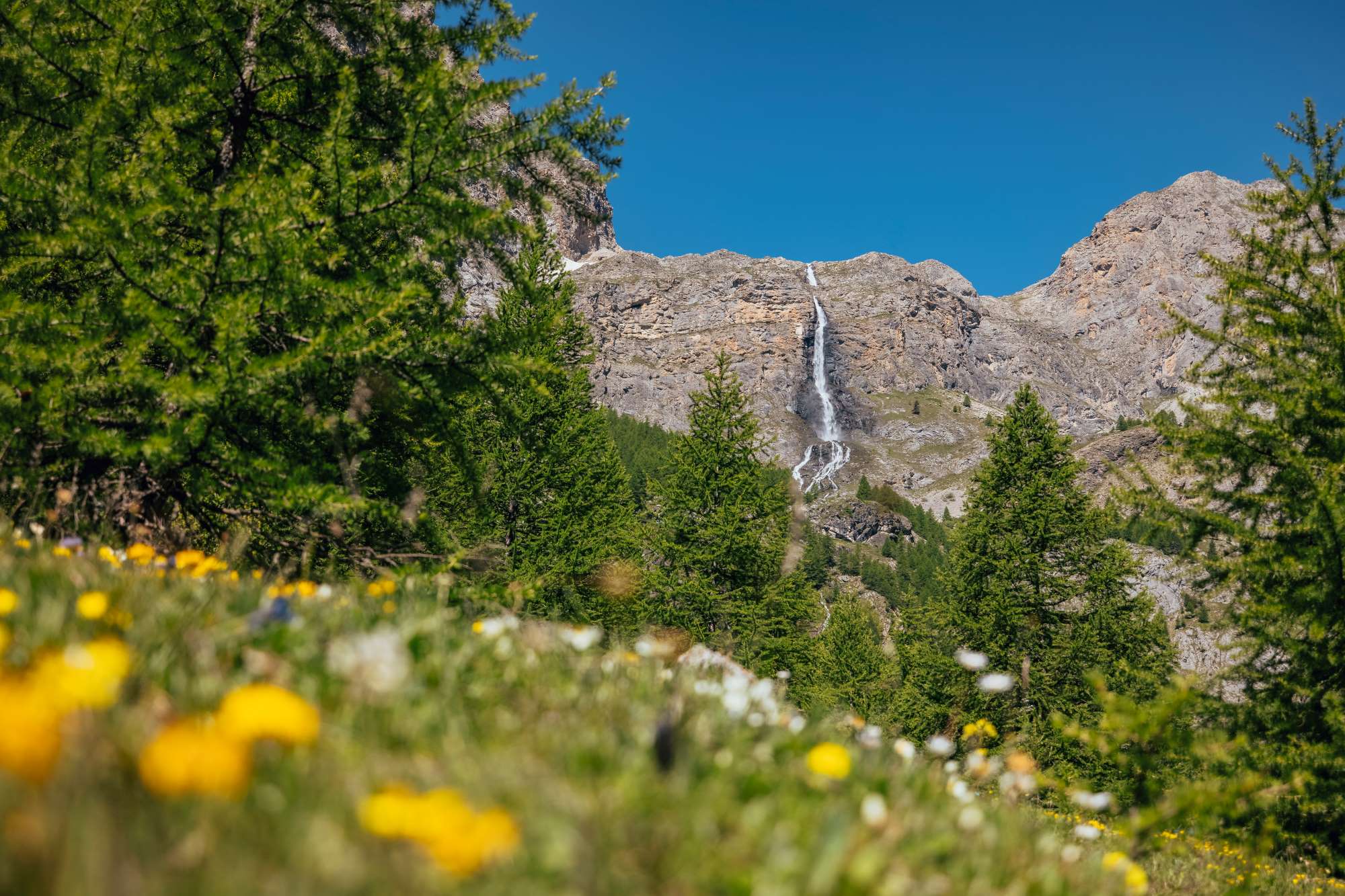 Journey to record-breaking Italy