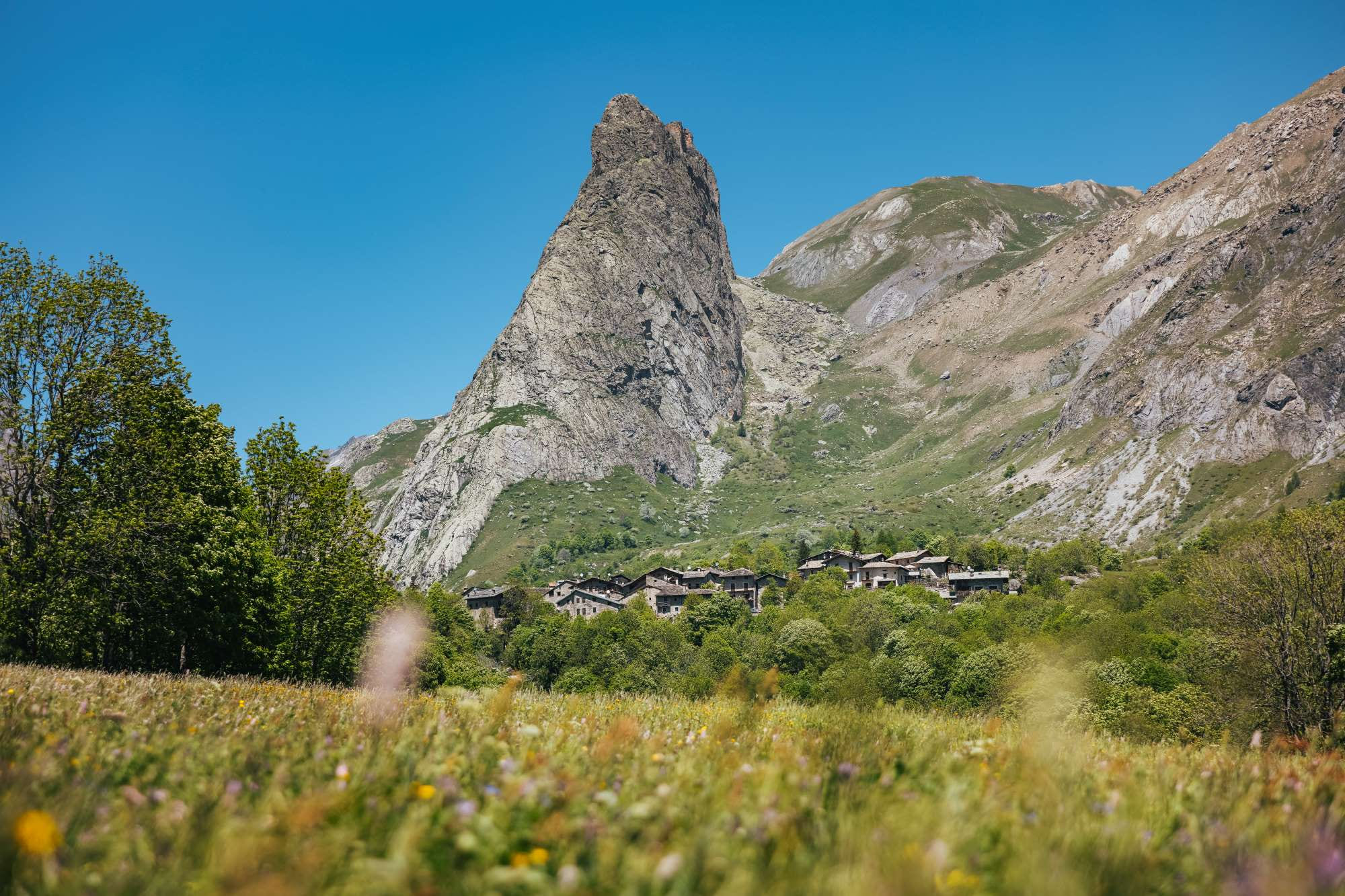 Guide e accompagnatori