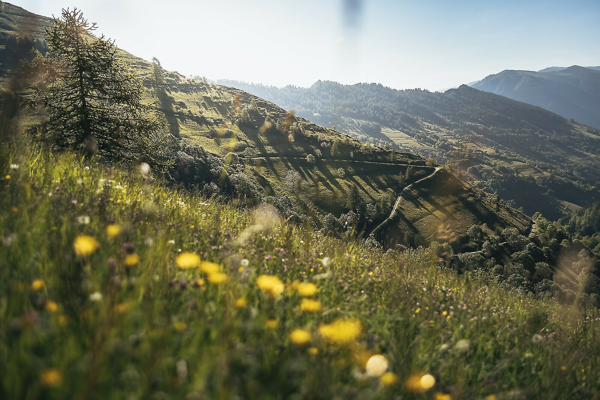 Beginner’s guide to hiking