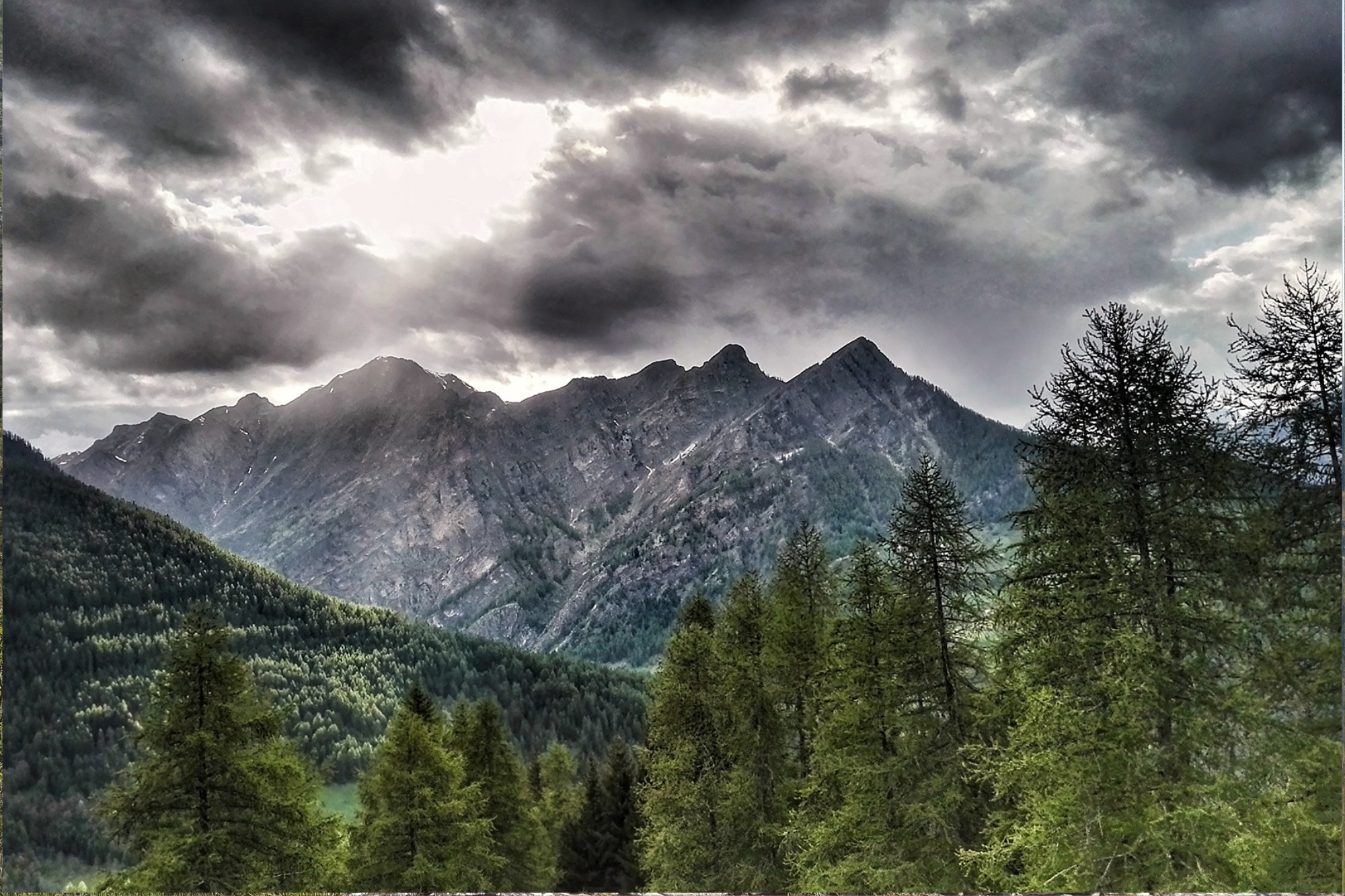 Sentiero dei caprioli Sentiero dei caprioli