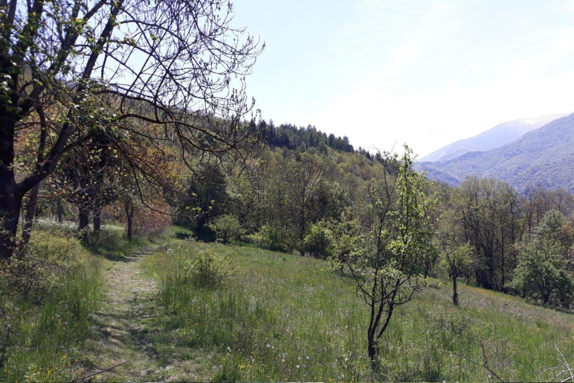 Sentiero di Elsa e Monte Rubbio Sentiero di Elsa e Monte Rubbio