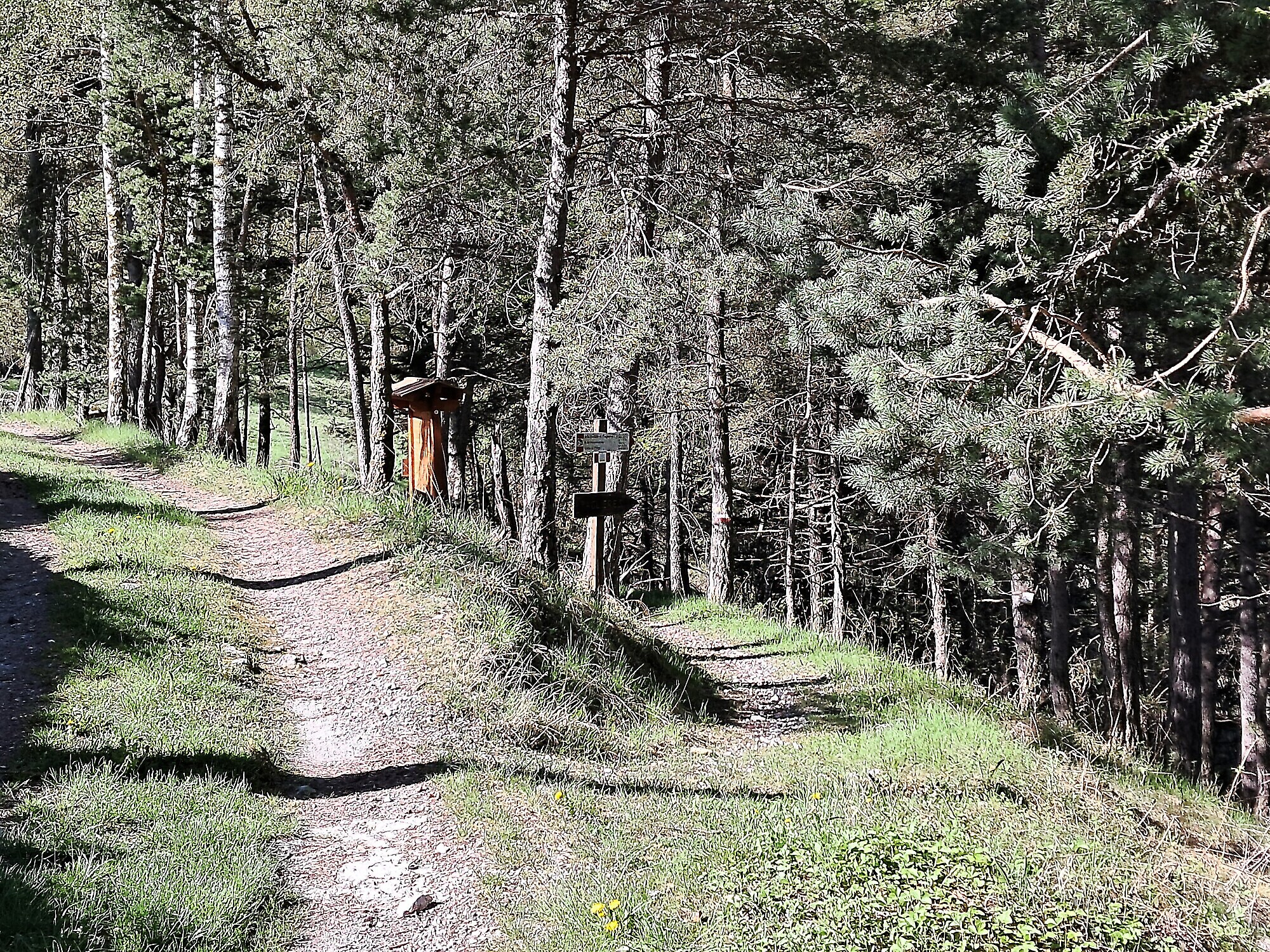 Santa Margherita – Loop Trail along the Paths of the Partisans of the 2nd Alpine Division “Giustizia e Libertà” Santa Margherita – Loop Trail along the Paths of the Partisans of the 2nd Alpine Division “Giustizia e Libertà”
