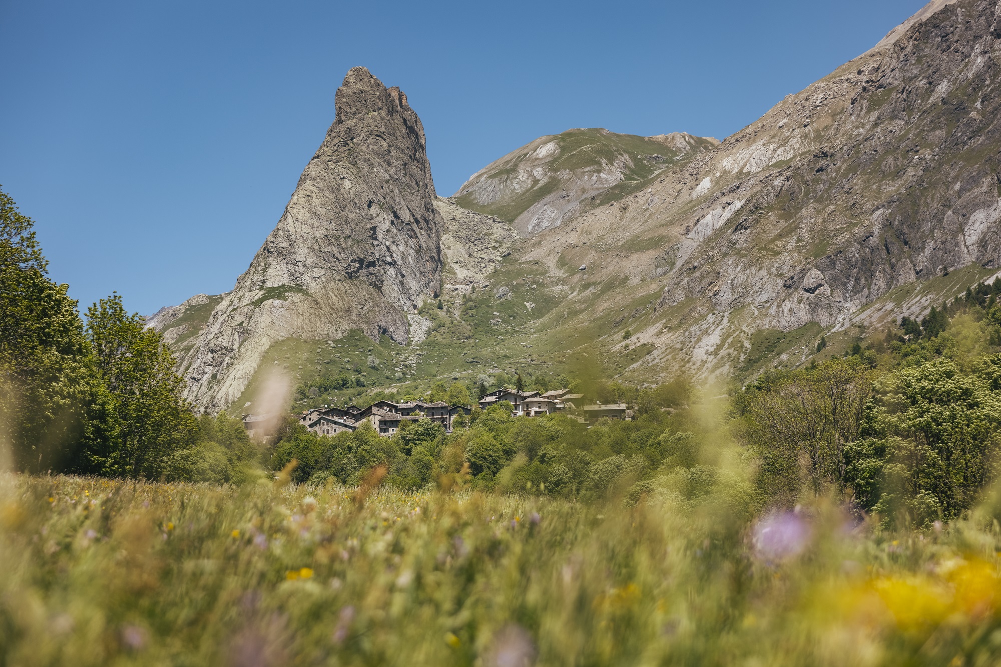 Visaisa für das Bild Visaisa für das Bild