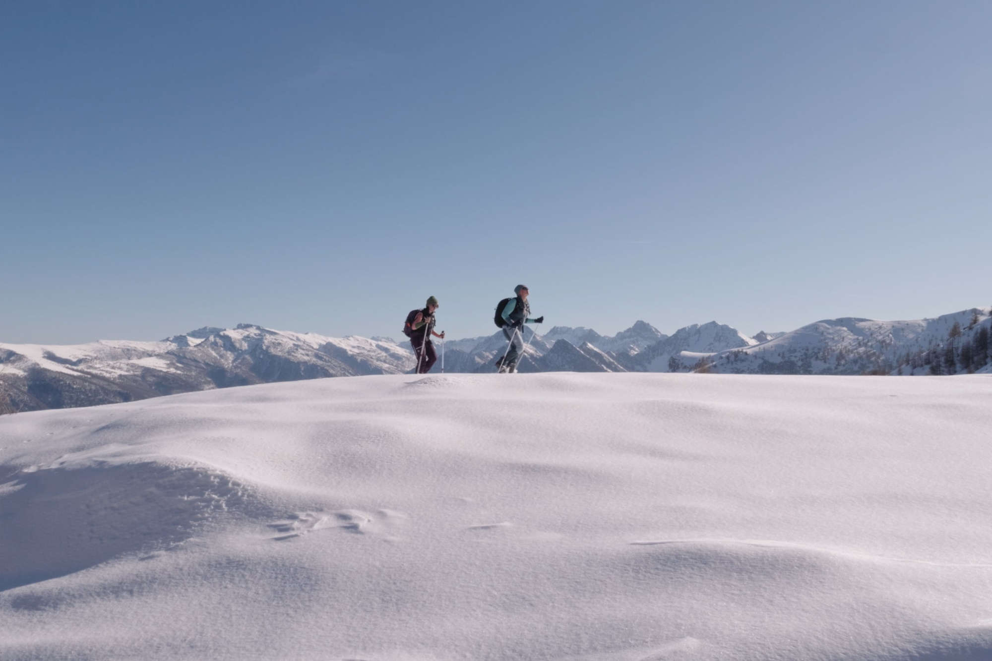 Esperienze occitane Anchovis im Schnee