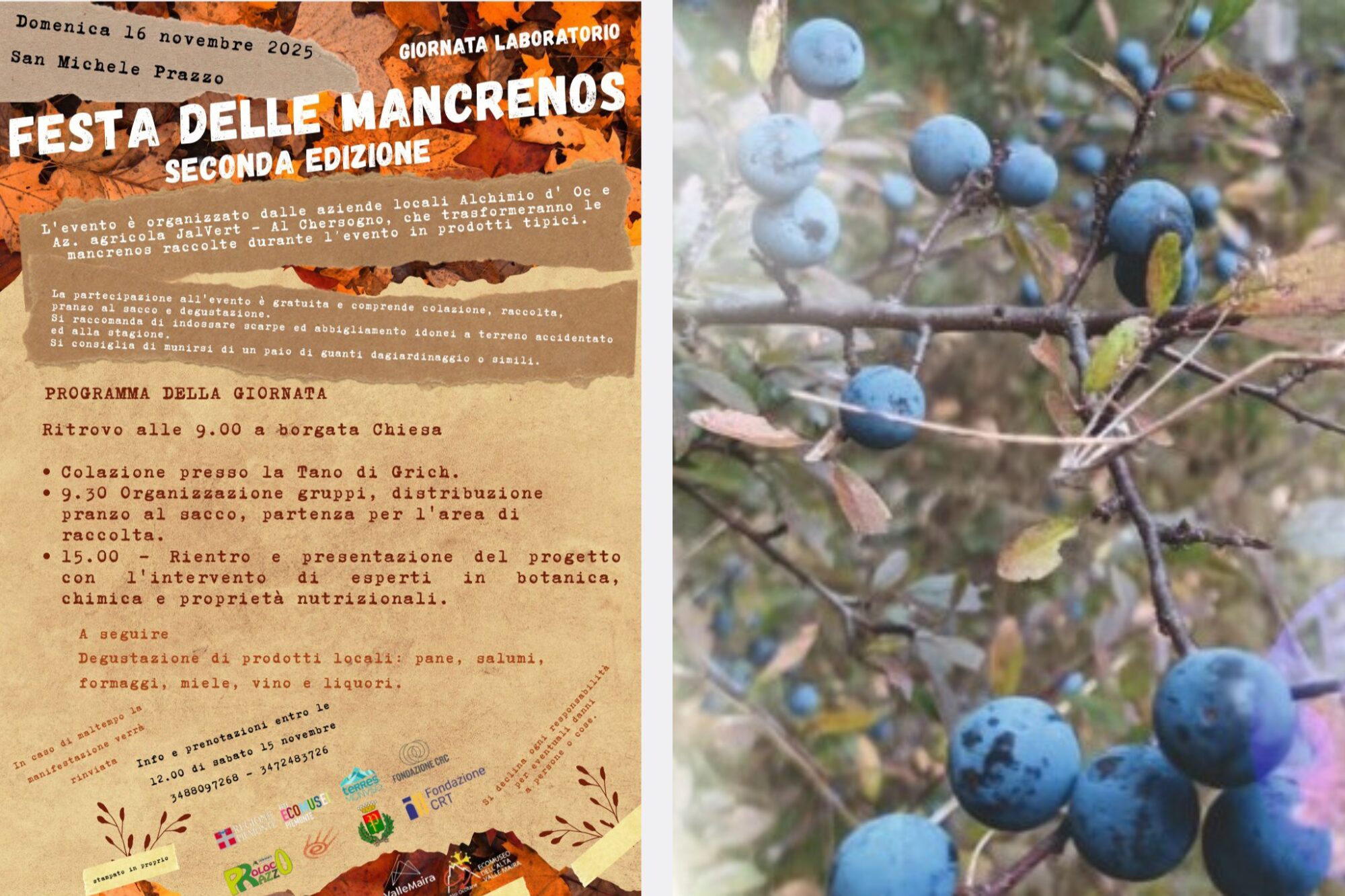 FESTA DELLE MANCRENOS