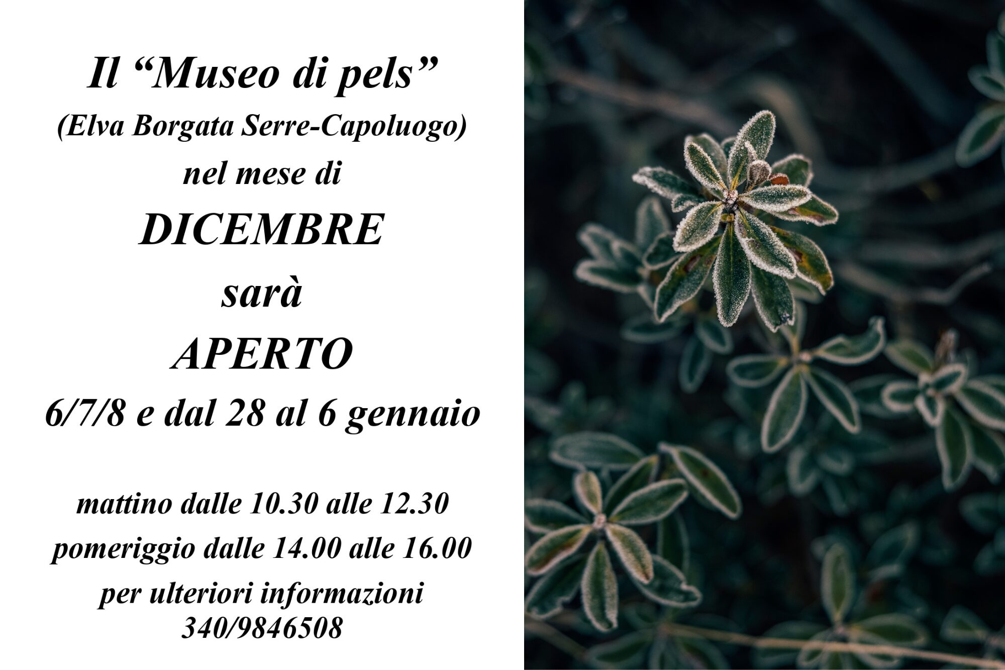 MUSEO DI PELS – Elva