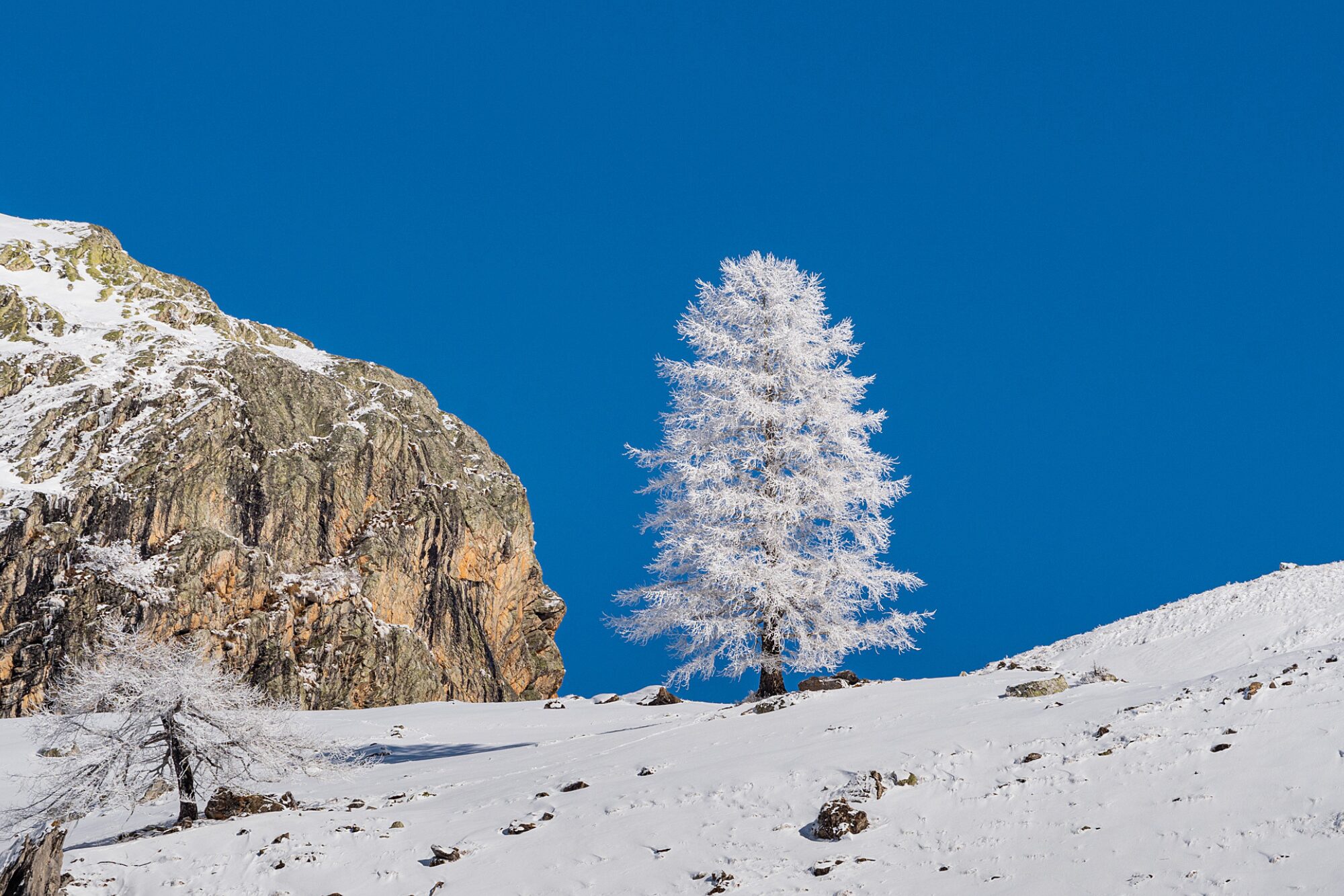 ESCURSIONE SULLA NEVE – Compagnia e Rete del Buon Cammino