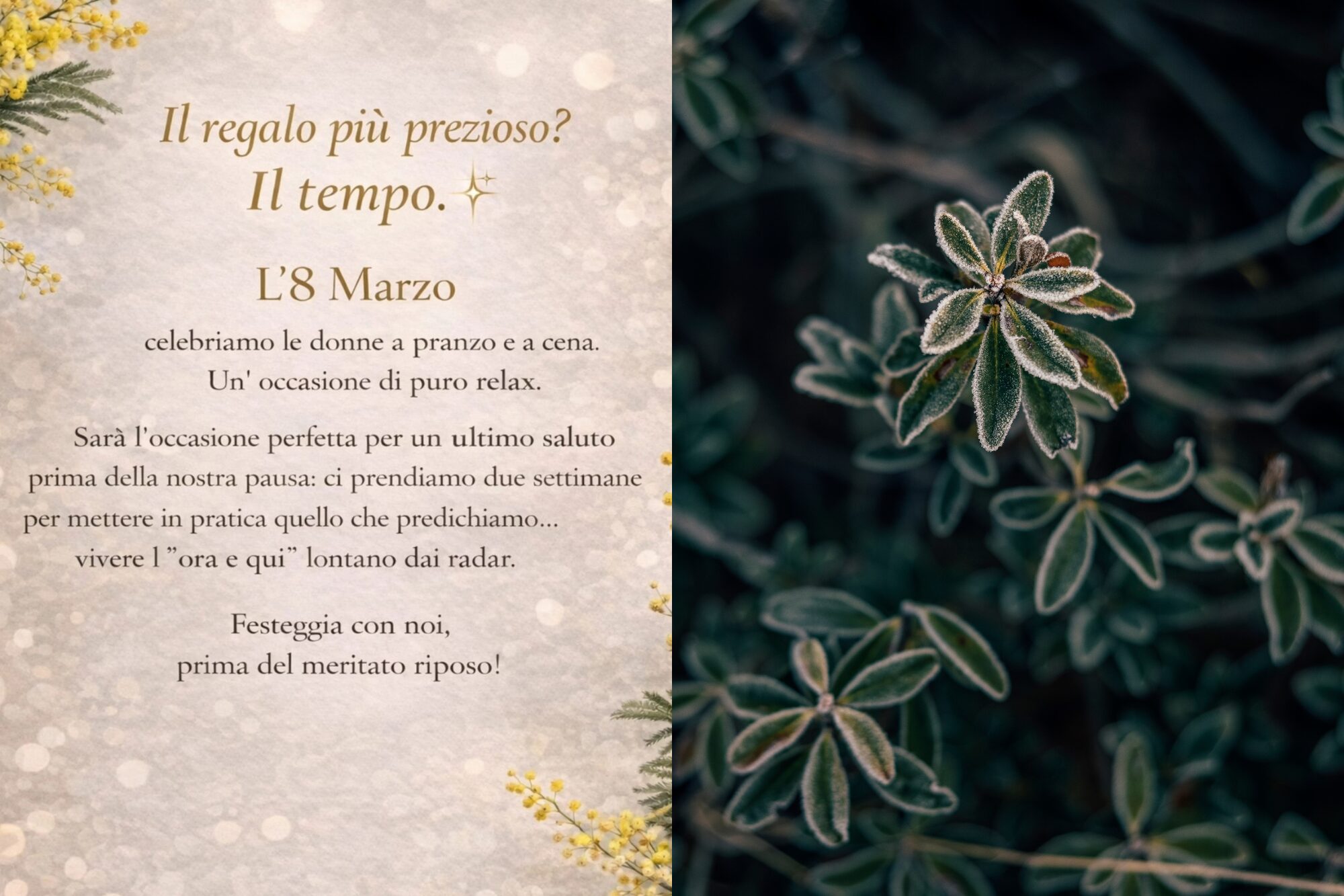 8. März bei Stai Manzo