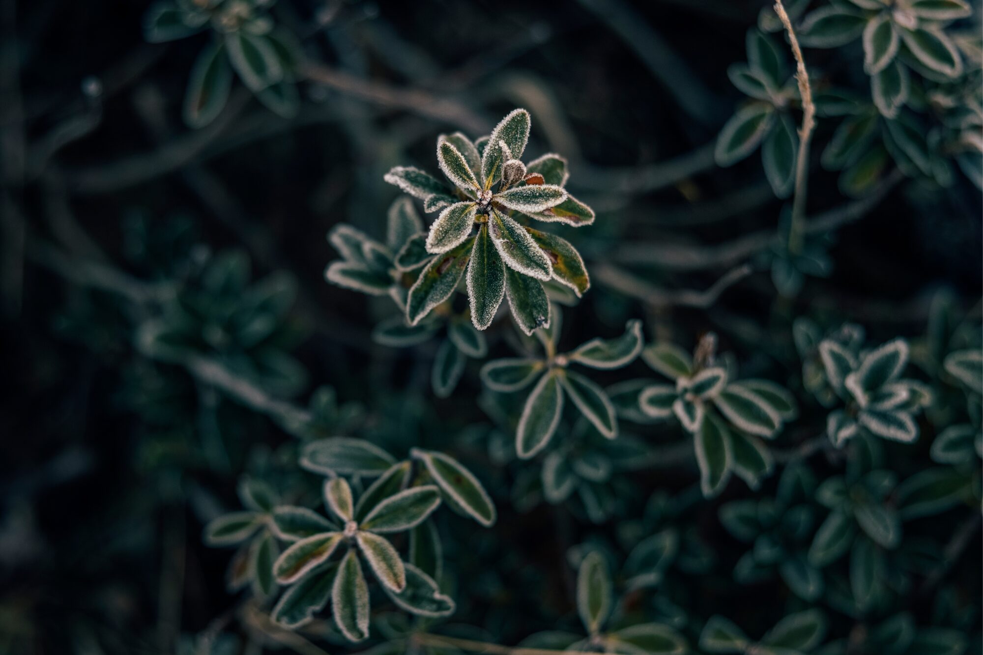 Anello del Gusto – AgriAtelier