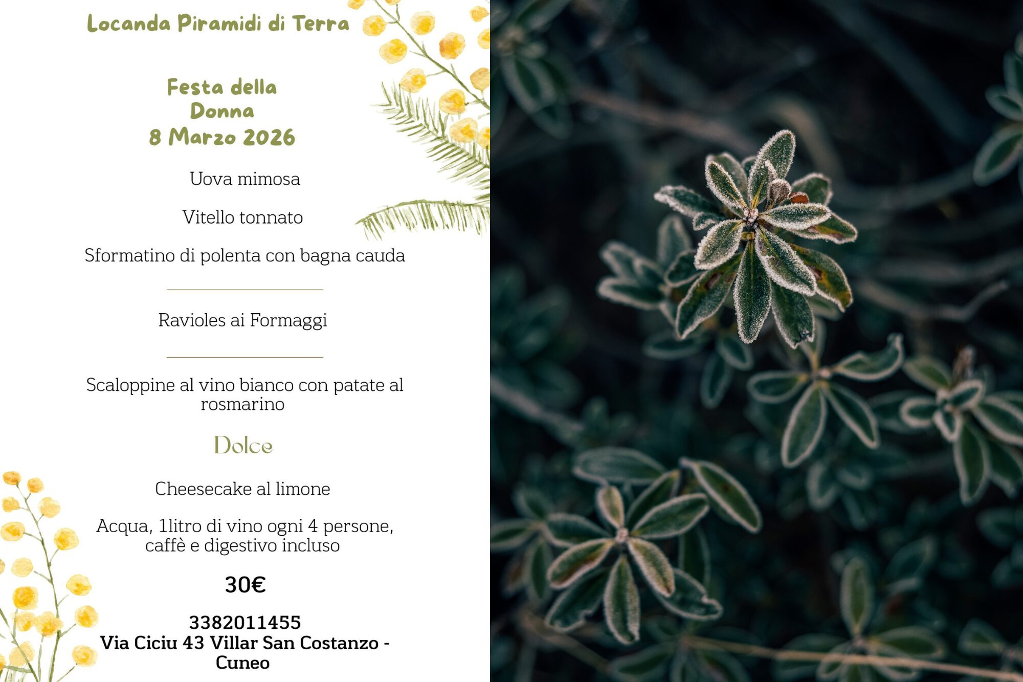 Frauentag – Locanda Piramidi di Terra