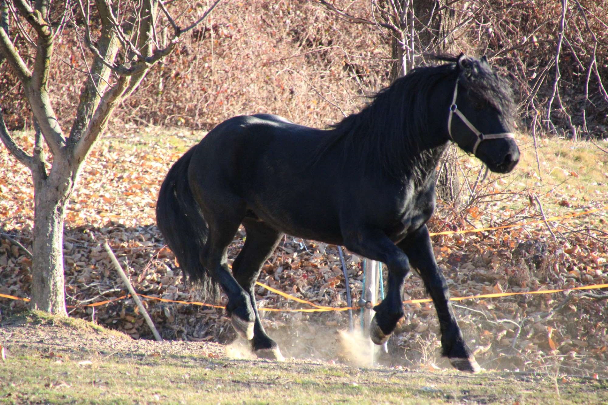 Easter at the Stables