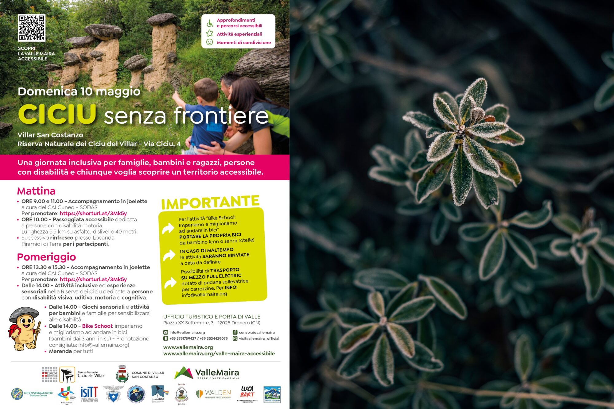 Ciciu Senza Frontiere