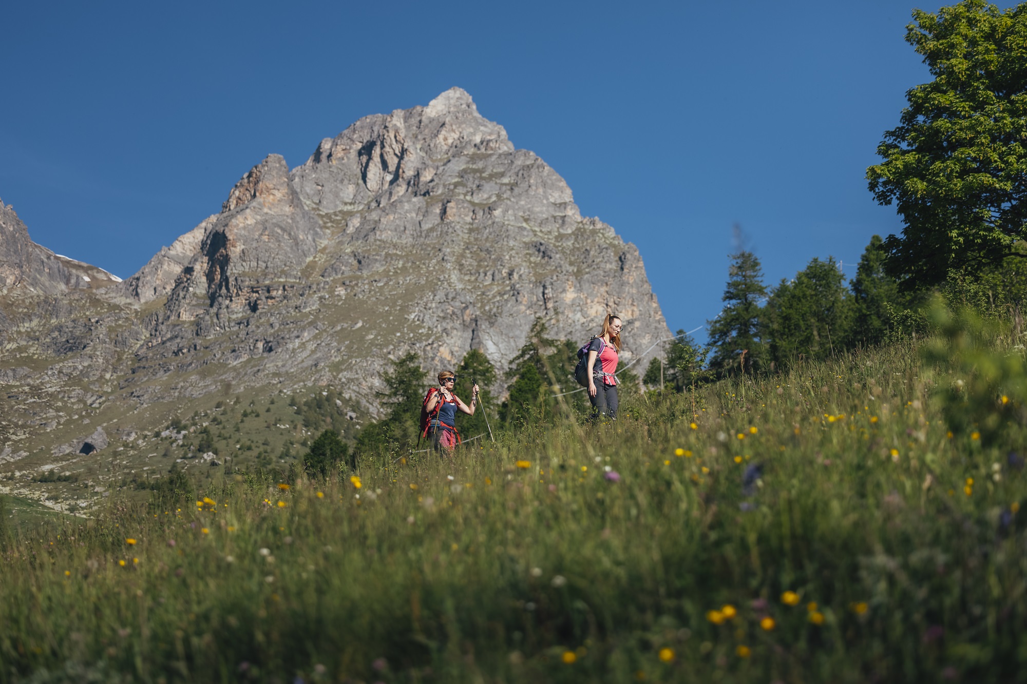 Esperienza alla Tano di Grich – camminata e cavagnin del Montanaro
