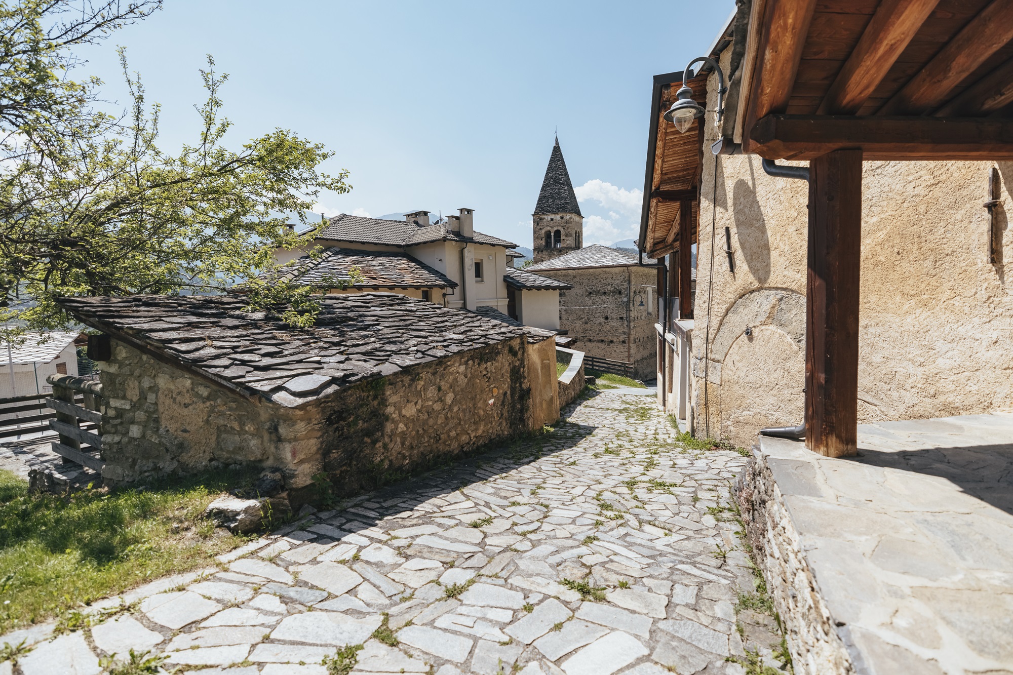 The Great Game of Environmental Sustainability