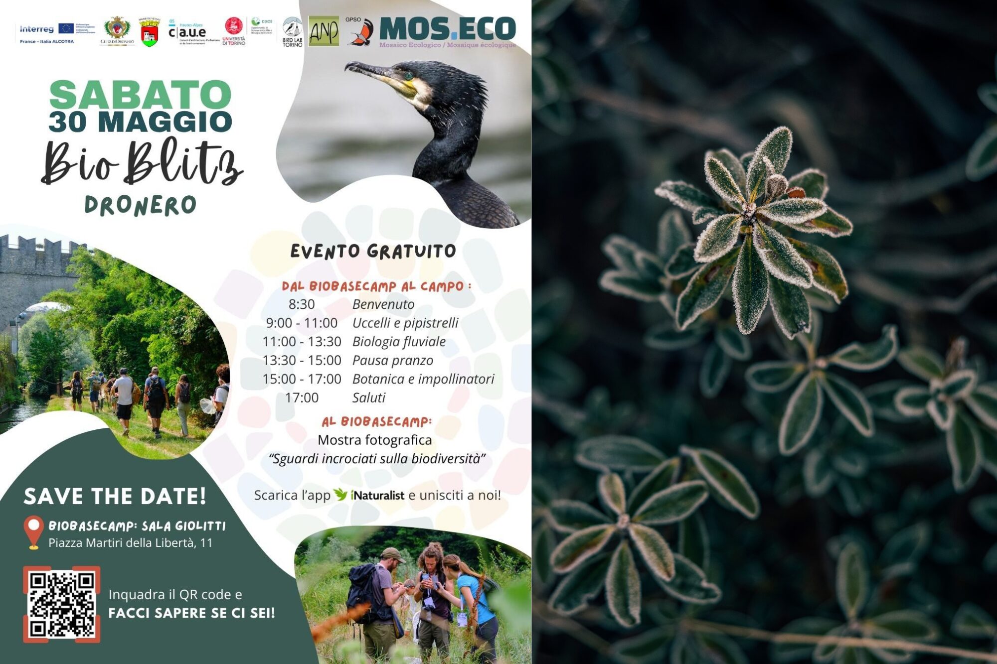 BioBlitz !