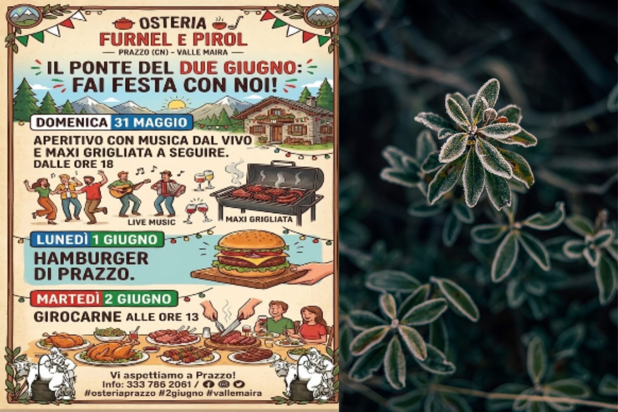 Furnel e Pirol Festival