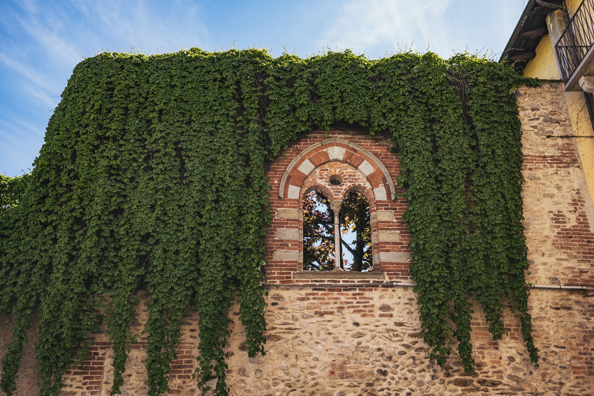 Das Ohr des Mallè