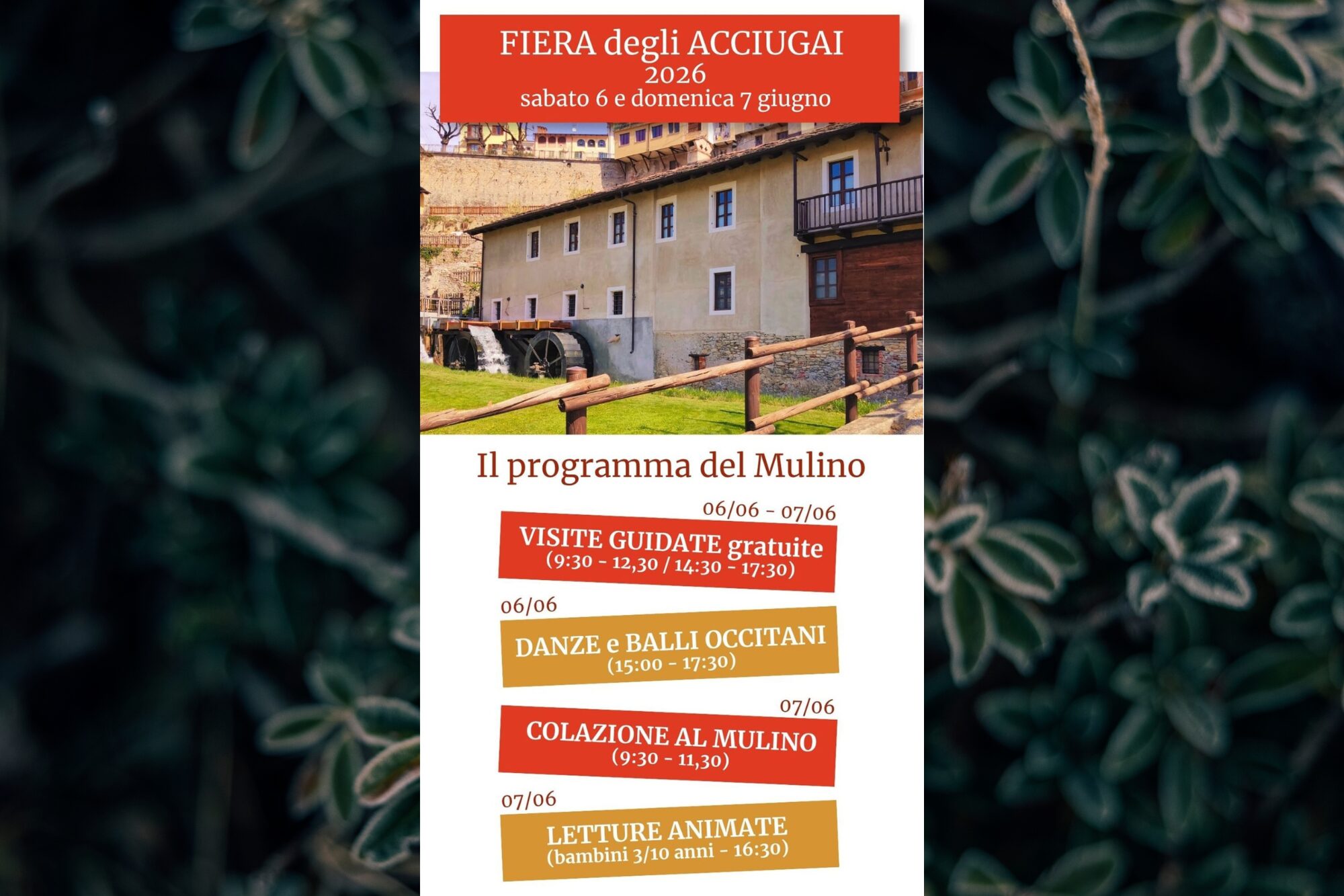 Fiera degli Acciugai – Visite guidate mulino Cavanna