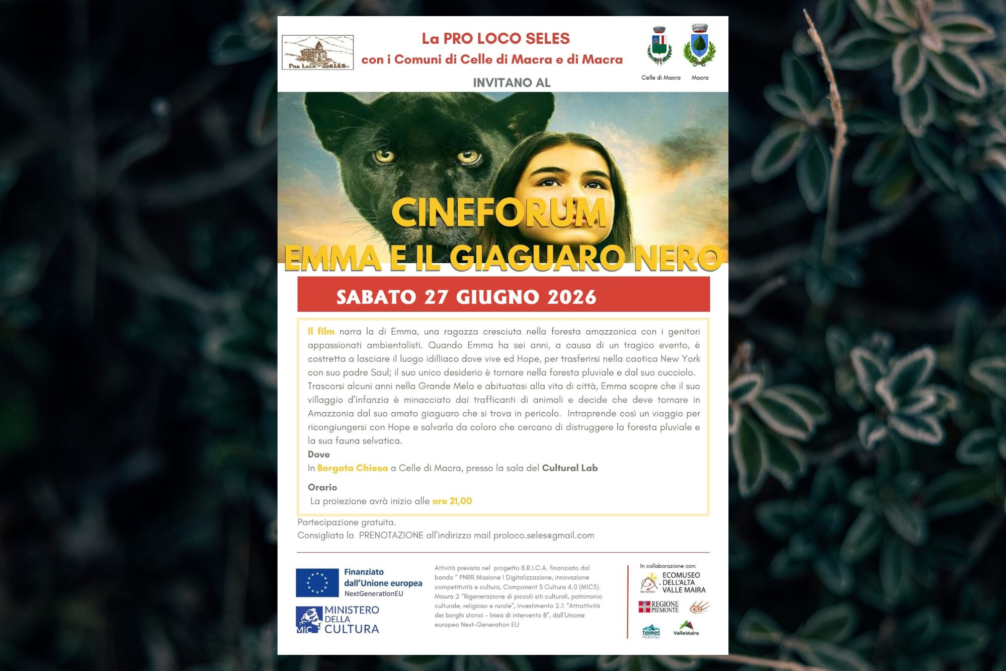 Filmforum für Kinder, Familien und Erwachsene