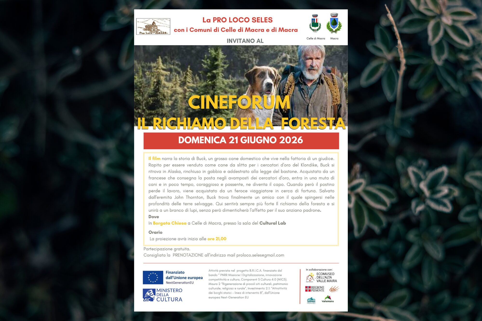 Film Forum for Children, Families and Adults