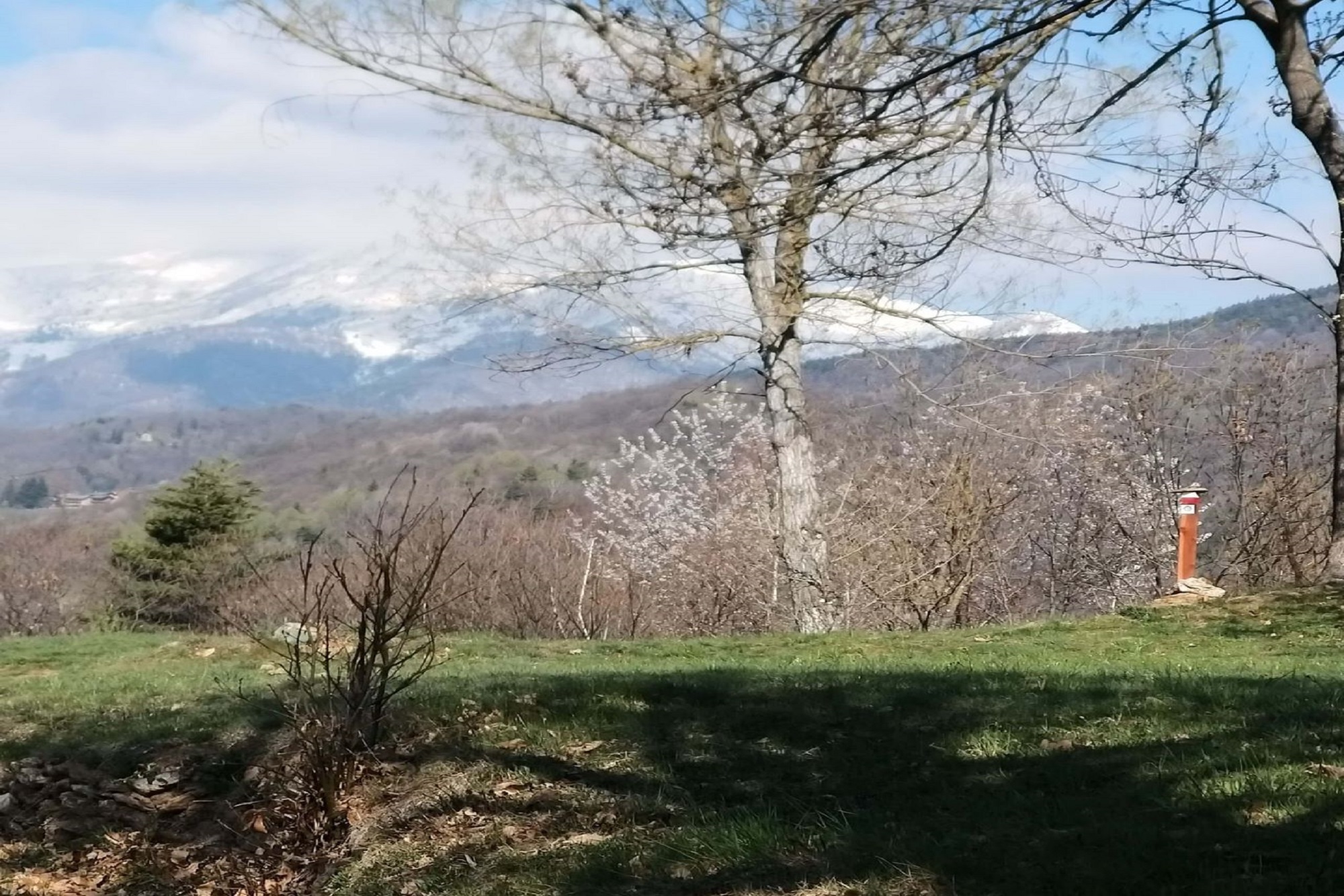 March on Partisan Trails