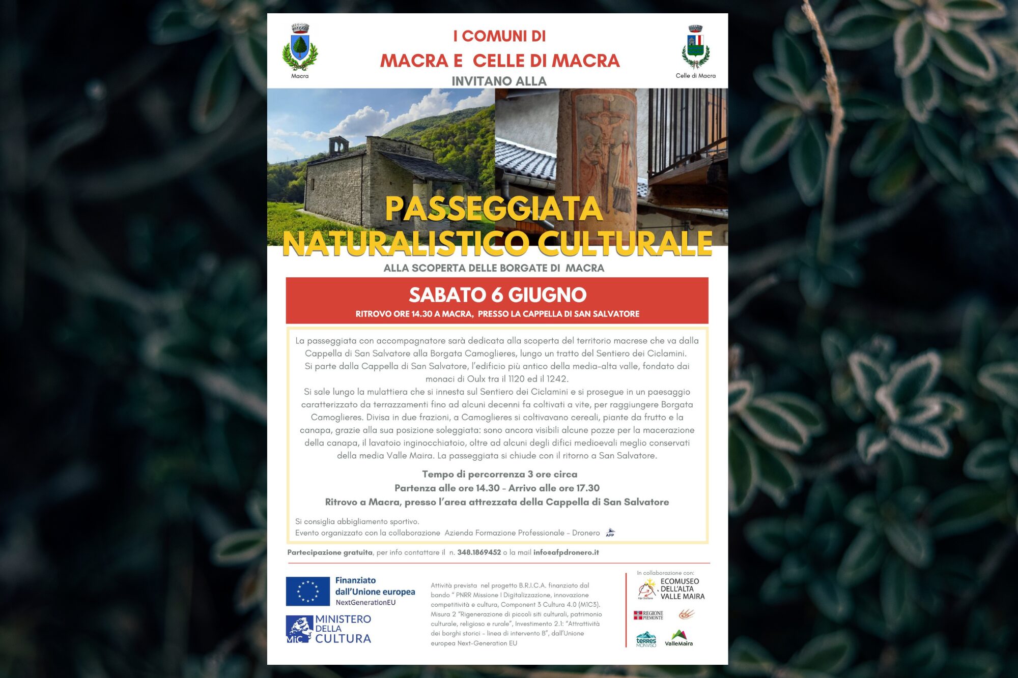 NATURAL AND CULTURAL WALK TO DISCOVER THE HAMLETS OF MACRA