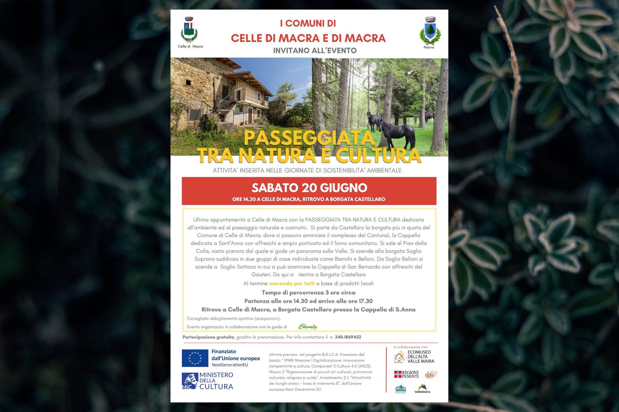 WALK AMIDST NATURE AND CULTURE AT PIAN DELLA COLLA