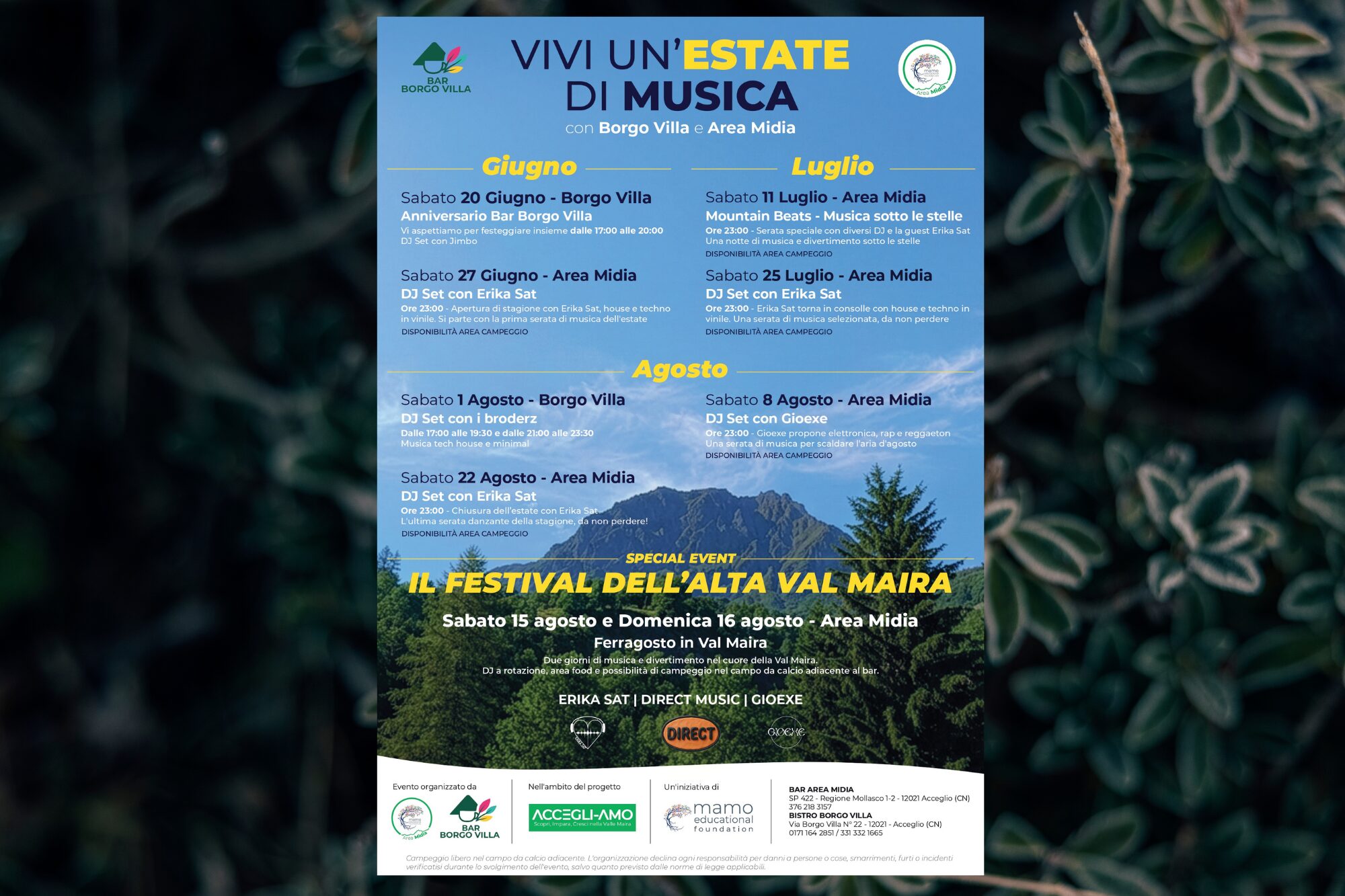 A summer of music