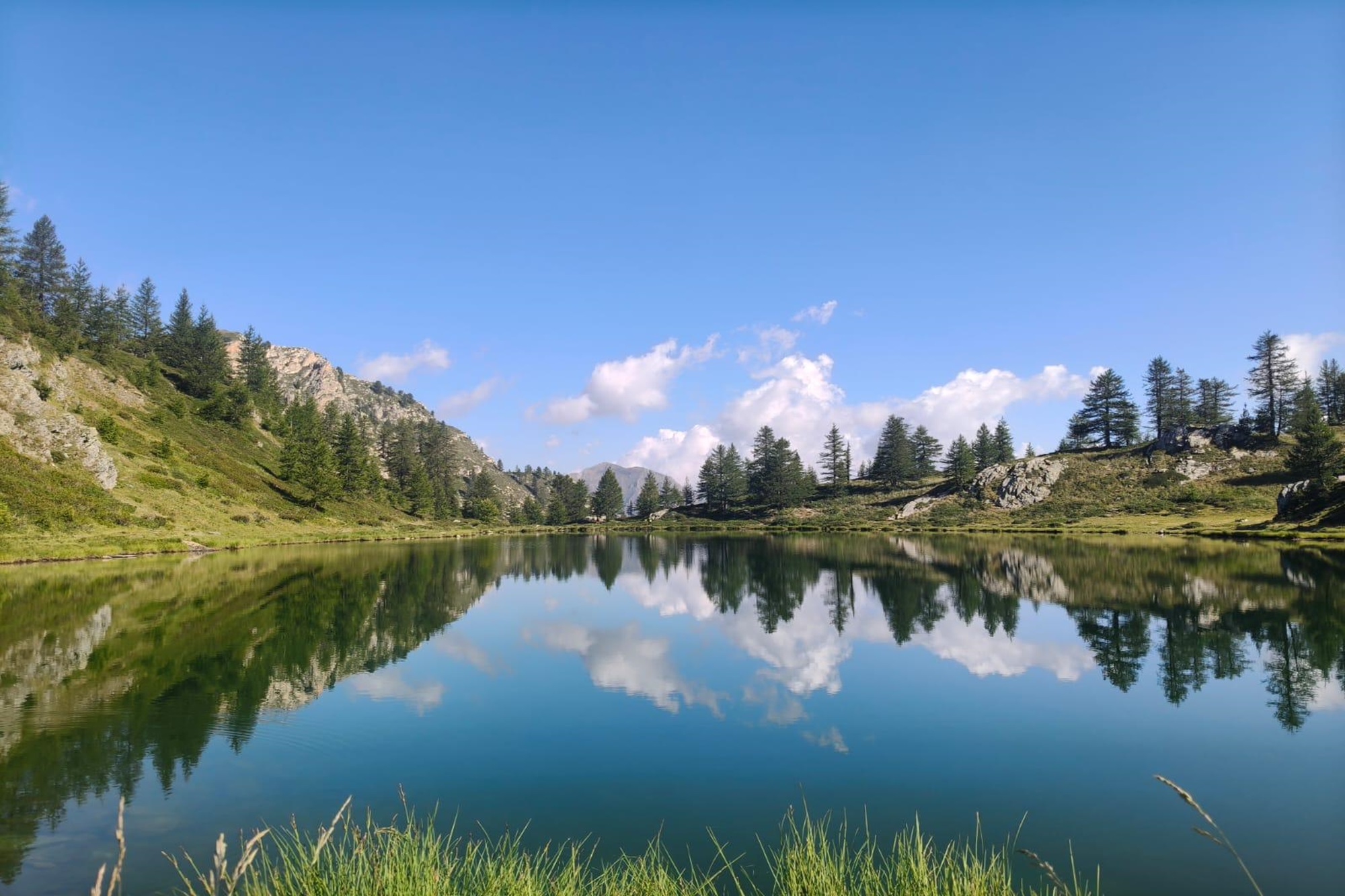 Palmi e Piante – Weekend di Yoga e Trekking